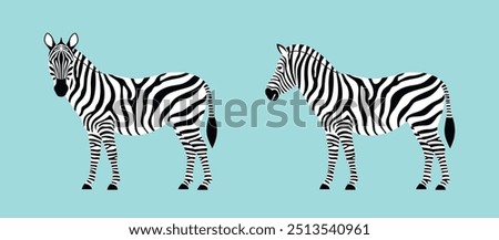 Zebra logo. Isolated zebra on white background