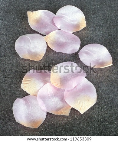 rose petals textile pink with yellow veins group scattered on the surface of a dark gray organza on a dark background