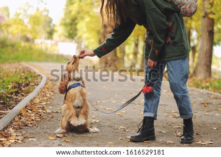 Similar – Foto Bild Gassigehen mit Cocker spaniel