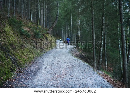 Eibsee lake, Garmisch-Partenkirchen, Bavarian Alps, Germany, 10.01.2015: people walking along the paths in the wood around Eibsee lake in Bavarian Alps during winter holidays