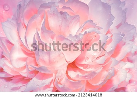 Similar – Image, Stock Photo Close up of pink velvet fabric background texture