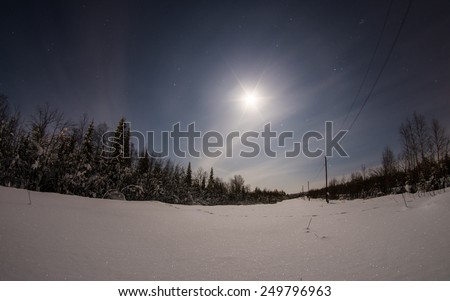 Moonlit night in winter forest in Murmansk region (Kola peninsula), far north of Russia - long exposure nature background