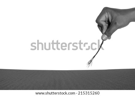 Art of black and white nature paintbrush, nature drawing