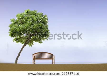 art of red bench on beach beside Pagoda Tree , fog and lake