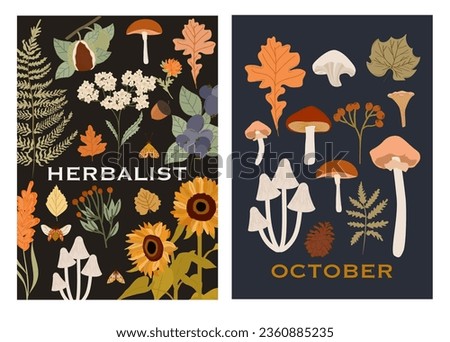 Collection of autumn posters, fall cards. Botanical illustrations, Fall leaves, harvest, pumpkin, wild flowers, herbs, plants. Editable vector illustration. 