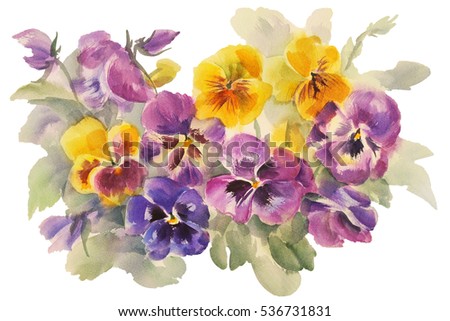 bouquet of violas watercolor isolated