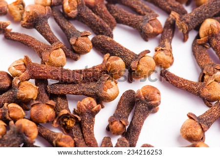 Spice Clove on isolated white background