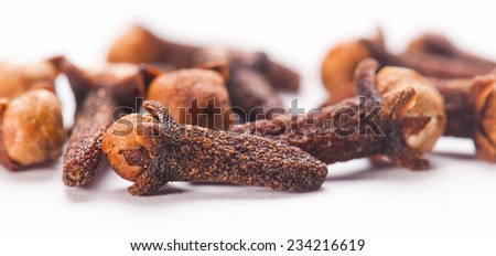 Spice Clove on isolated white background