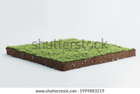 Similar – Image, Stock Photo reddish grasses Grass