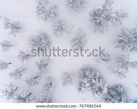 Similar – Foto Bild Bäume von oben im Winter schneebedeckt von einer Drohne gefilmt