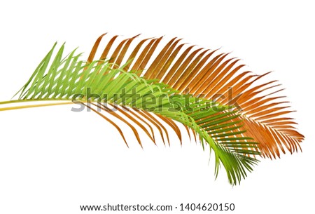 Shutterstock Puzzlepix