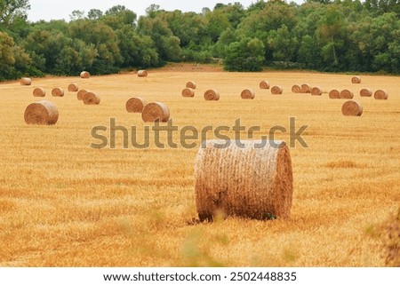 Similar – Foto Bild Heuballen auf dem Feld nach der Ernte,