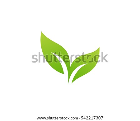 leaf logo vector ez canvas