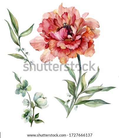 Beautiful purple peony flower on a stem with green leaves. Set flower and bud isolated on white background. Watercolor painting. Hand drawn and painted floral illustration.Greeting cards design.
