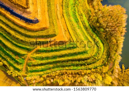 Aerial view of recultivated  landscape after mining. Dump from old underground mine. Climate change concept. Back to nature. Western Bohemia, Czech Republic, European Union. Imagine de stoc © 