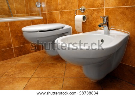 Luxury bathroom closeup - the water-closet and bidet.