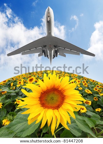 Airliner over a sunflower field. Environmental metaphor.