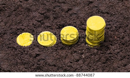Money growth. Golden coins growing from soil. Financial metaphor.