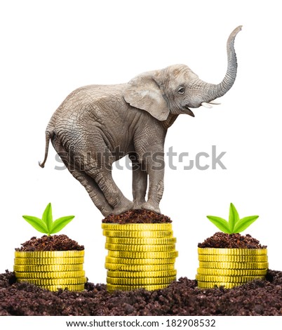 Happy Elephant on a growing pile of a golden money. Strong investments concept.