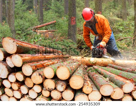 Similar – Image, Stock Photo Industrial logging and harvesting with machinery in winter mountain forest. Flying drone view photography.