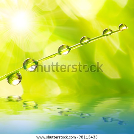 Fresh morning dew on a spring grass in early morning. Natural background. Purity concept.