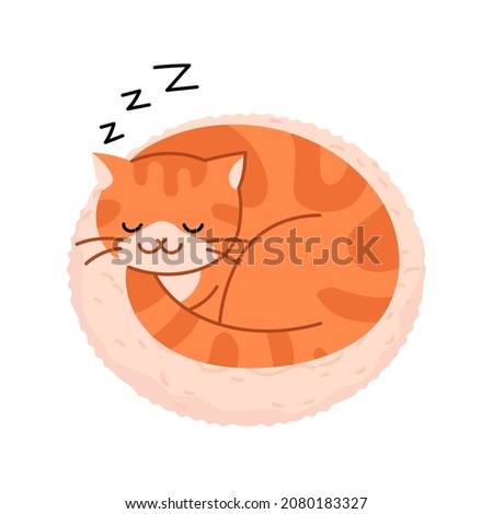 The cat curls up in a circle and takes a nap. Cute yellow cat illustration.