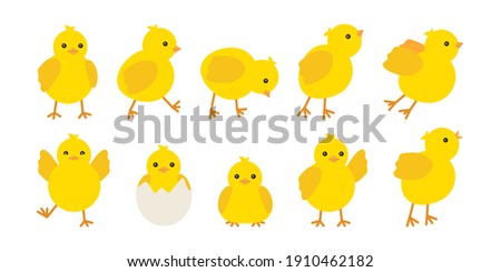 Cute baby chickens set in different poses for easter design. Little yellow cartoon chicks. Vector illustration isolated on white background