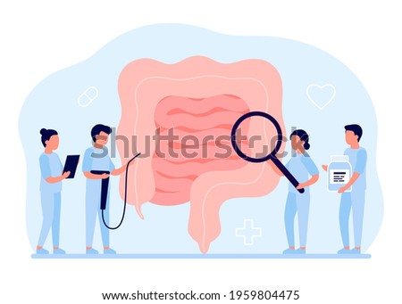 Gut organ medical checkup, health intestine and digestive. Doctor examining gastrointestinal tract. Medical gut disease treatment. Vector illustration