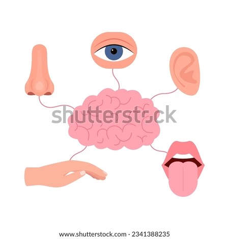 Brain connection with five human senses, hearing, vision, smell, taste, touch. Signal between brain and ear, eye, nose, mouth with tongue, hand. Human sense organs set. Vector illustration