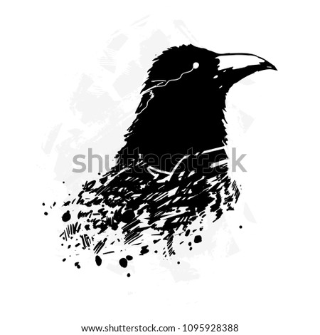 A crow painted in ink, a crow's head, a grunge. Detailed drawing of the crow
