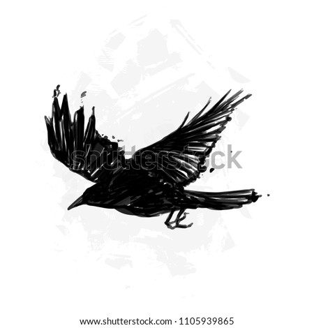 Silhouette of a flying crow painted in ink, grunge style