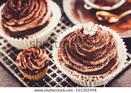 Beautiful chocolate cupcakes with butter cream, cocoa and little sugar flower. Selective focus
