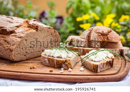 Rustic bread with cottage cheese, for breakfast or snack. Selective focus.