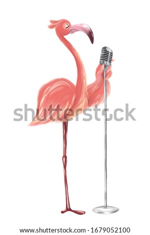 Funny flamingo with microphone. Hand drawn flamingo illustration