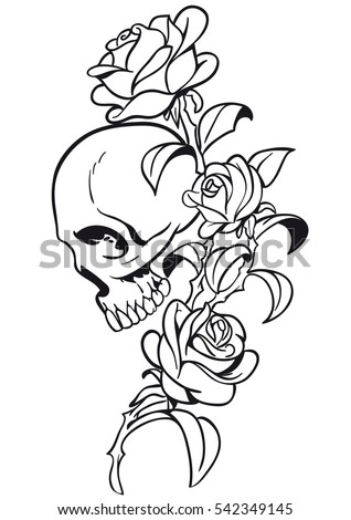 Flower Skull Vector Illustration | Download Free Vector Art | Free-Vectors