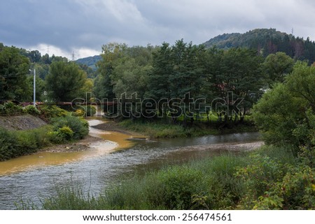 Abrud and Aries creek meet at Virs in Transylvania Romania. Polluted water of Abrud creek originates from Rosia Montana mine,