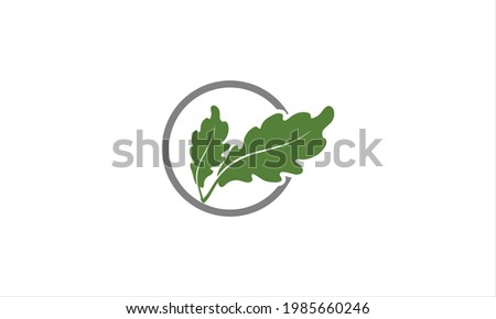 Acron oak leaf logo illustration vector icon  design illustration symbol