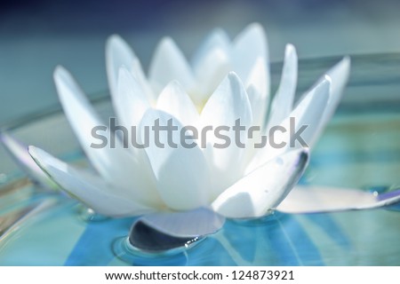 White Water