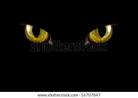 cat\'s eyes glowing in the dark. halloween background