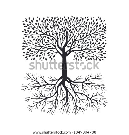 Olive tree silhouette with roots isolated on white background. Vector illustration. Premium quality extra virgin oil, nature logo