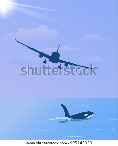 Plane against the sea. Killer whale in the sea, morning seascape, evening at sea, plane over the ocean. sunset, sunrise