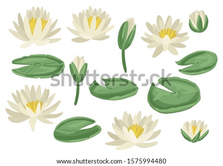 Easter Lily Nymphaea Alba Pond Clip Art Lily Pad Flower Clipart Stunning Free Transparent Png Clipart Images Free Download