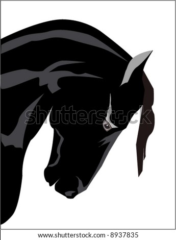 Black Horse Stock Vector Illustration 8937835 : Shutterstock