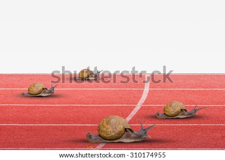 Snail effort running on red rubber track isolated on white.Business concept.
