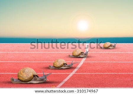Snail effort running on red rubber track.Business concept.