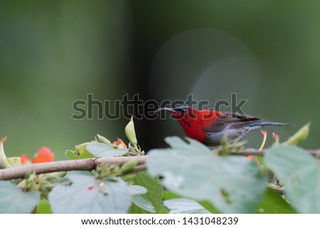 Similar – Foto Bild Füttern nur mit Spezialfutter!