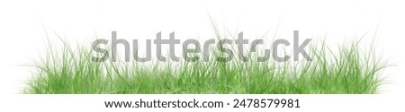 Similar – Image, Stock Photo Lush nature blossoms