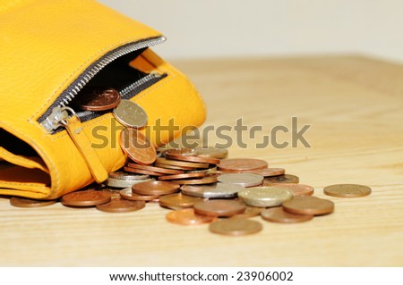 money in a change purse