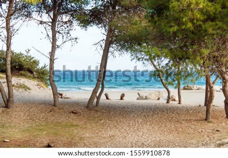 Similar – Foto Bild Strand von Alimini, Salento, Apulien, Italien