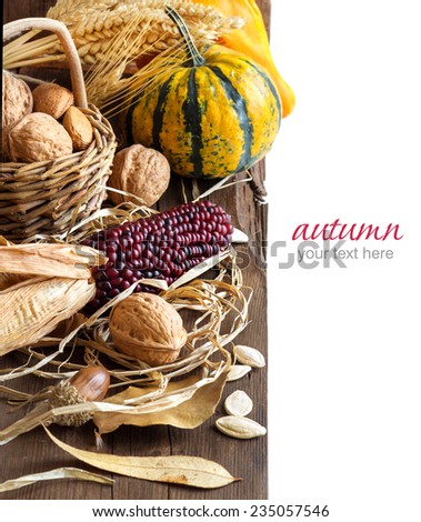 Harvest background with corn, pumpkins, leaves and nuts